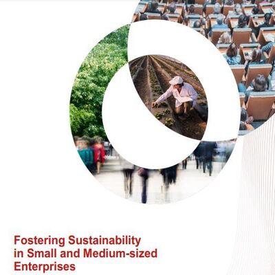 Fostering Sustainability in Small and Medium-sized Enterprises
